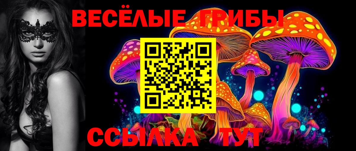 Меф МЯУ МЯУ   Гашиш  МАРИХУАНА  Кокаин  АМФ   Арсеньев  Вход с VPN 